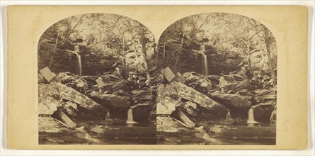 Mountain Gorge, On the Catskills; about 1860; Albumen silver print
