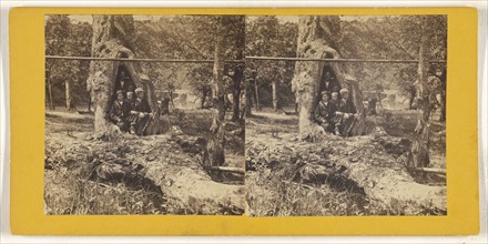 Hollow Sycamore, Oil Creek, Pennsylvania; American; about 1865; Albumen silver print