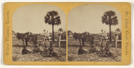 Farming, Fort George Island. Florida; American; 1875; Albumen silver print