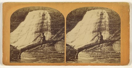 Pulpit Falls, Cayuga, N.Y; American; about 1860; Albumen silver print
