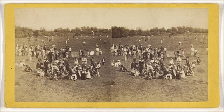 View in Central Park, N.Y; American; about 1870; Albumen silver print