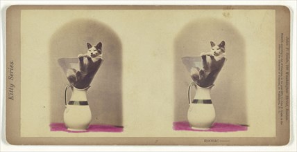 Kitty Series. Hoosac; John P. Soule, American, 1827 - 1904, 1871; Hand-colored Albumen silver print