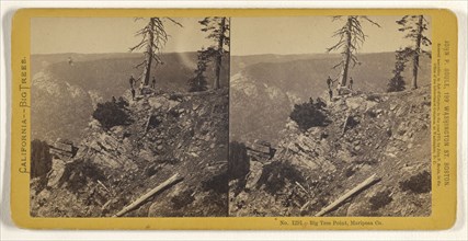 Big Tree Point, Mariposa Co; John P. Soule, American, 1827 - 1904, 1870; Albumen silver print