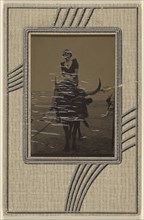 woman seated on an ox; 1910 - 1920; Gelatin silver, varnished print