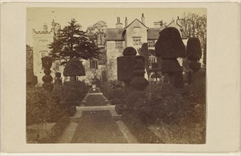 Levens Hall. Westmoreland. Garden planted by Beaumont. Gardener to James IId 250 years ago; British; September 14, 1885; Albumen