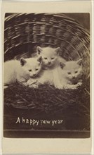 A happy new year; Henry Pointer, British, 1822 - 1889, about 1865; Albumen silver print