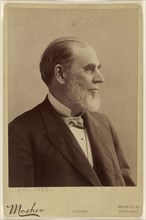 Leonard Swett; Charles D. Mosher, American, 1829 - 1897, 1876; Albumen silver print