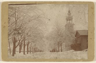 View of a tree-lined street with snow, Ashfield, Massachusetts; A.W. & G.E. Howes; 1896; Gelatin silver print
