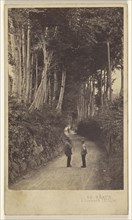Men standing in tree-lined country lane; Adolphe Braun, French, 1812 - 1877, about 1865; Albumen silver print
