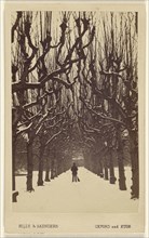 Lime Avenue, Trinity College in Winter; Hills & Saunders, British, active about 1860 - 1920s, May 1, 1866; Albumen silver print
