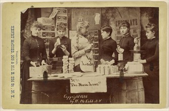 The Main Line; Henry McCobb, American, active New York, New York 1880s, 1886; Albumen silver print