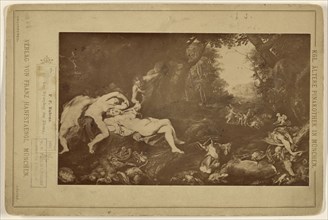 P.P. Rubens. Die Nymphen der Diana; Franz S. Hanfstaengl, German, 1804 - 1877, 1878; Albumen silver print