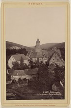 Budingen. Schloss. Totalansicht; German; about 1880; Collotype