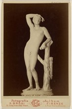 Firenze - Galleria - L'Apollino; Giacomo Brogi, Italian, 1822 - 1881, about 1875; Albumen silver print