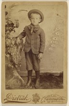 Freddie Henry Sechler. 6 years old; W.A. Dietrich, American, active 1870s - 1880s, 1870s; Albumen silver print