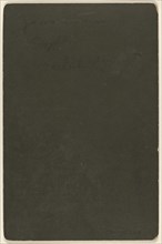 James & Fannie Laughlin, Cerlish, Ky; Michael Miley, American, 1841 - 1918, active Lexington, Virginia, 1870s; Albumen silver