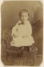 Portrait of a young child, seated; 1870s; Albumen silver print