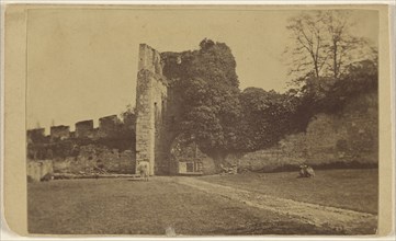 Walled pasture with cows at Trowbridge, Wilts, England; R. Wilkinson, British, active Trowbridge, England 1870s, about 1865