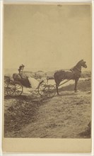 woman seated in a horse-drawn carriage; George P. Critcherson, American, 1823 - 1892, August 7, 1865; Albumen silver print