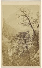 view with bridge, trees, and mountain, perhaps at Uriage-les-Baines, France; Davanne & Aléo; 1865 - 1870; Albumen silver print