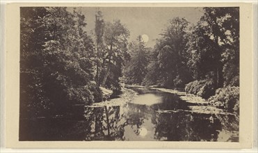 River Trent at Trentham, looking South; T. Kirby, British, active 1860s - 1870s, 1865 - 1870; Albumen silver print