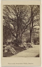 View in the Serpentine Walks, Buxton; Thomas Ogle, British, active Penrith, England 1850s - 1860s, 1864 - 1865; Albumen silver