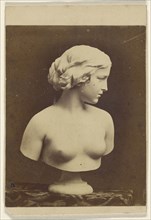 White Captive sculpture of a female torso; Erastus D. Palmer, American, active New York 1860s, 1860; Albumen silver print