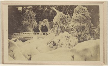 View of a bridge, after a snow storm; 1865 - 1870; Albumen silver print