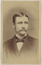 man with moustache; E.N. Shaw, American, active Moline, Illinois 1860s, 1870 - 1875; Albumen silver print
