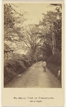 A View in Fresh Water, Isle of Wight; Frank Mason Good, English, 1839 - 1928, 1865 - 1870; Albumen silver print