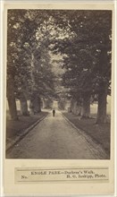 Knole Park - Duchess's Walk; H.G. Inskipp, British, active London, England 1870s, 1864 - 1867; Albumen silver print