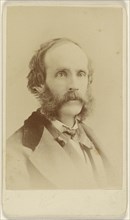 Frederic Edwin Church, 1826 - 1900, Sarony & Co; 1880 - 1885; Albumen silver print