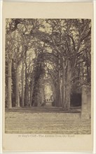 Guy's Cliff - The Avenue from the Road; Francis Bedford, English, 1815,1816 - 1894, 1862 - 1864; Albumen silver print