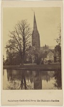 Salisbury Cathedral from the Bishop's Garden; British; about 1865; Albumen silver print