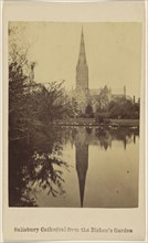 Salisbury Cathedral from the Bishop's Garden; British; about 1865; Albumen silver print