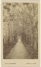 Addison Water Walk, Magdalen. Oxford, England; Hills & Saunders, British, active about 1860 - 1920s, May 1866; Albumen silver