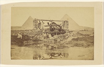 Saquieh pres des Pyramides; Wilhelm Hammerschmidt, German, born Prussia, died 1869, 1865 - 1870; Albumen silver print