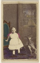 little girl standing with a dog on the floor next to her; Bent, British, active 1860s, 1865 - 1875; Hand-colored albumen silver