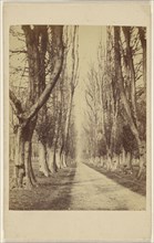 Avenue at Wollaton Hall. Lord Middleton near Nottingham; William Woodward, British, active Nottingham, England 1850s - 1860s
