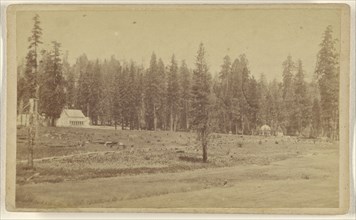 General view of the Mammoth Grove and Hotel, Calaveras County; Lawrence & Houseworth; 1864 - 1867; Albumen silver print