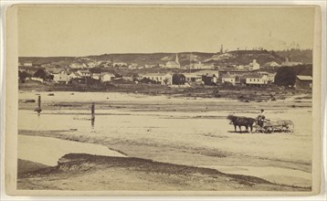 Santa Cruz, from the San Lorenzo, Santa Cruz Co; Lawrence & Houseworth; 1864-1867; Albumen silver print