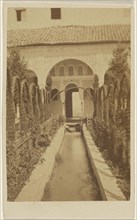 Garden view with path, the Alhambra; 1870 - 1875; Albumen silver print