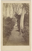 Newstead Abbey. Long walk; A.W. & H. Cox; October 24, 1865; Albumen silver print