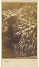 Peyli: Ponte della Cascata; Adolphe Godard, French, active Génes, France 1850s - 1860s, 1865 - 1870; Albumen silver print
