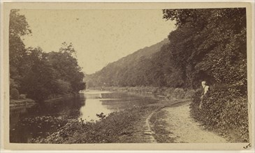 Cliveden Wood, on The Thames; Henry W. Taunt, British, 1842 - 1922, 1865 - 1870; Albumen silver print