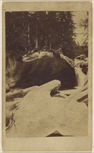 forest view with rocks and cavern; 1865 - 1875; Albumen silver print