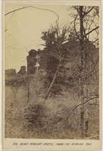 Berry Pomeroy Castle, From the Wishing Tree; William Spreat, British, active Exeter, England 1860s, about 1865; Albumen silver