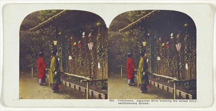 Yokohama. Japanese Girls Viewing the tallest Chrysanthemums Grown; about 1900; Color halftone