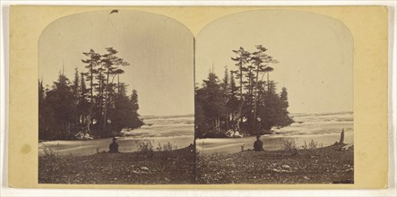 Lovers Retreat - Niagara; American; about 1870; Albumen silver print