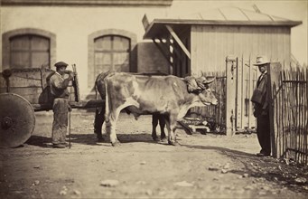 Man standing behind ox-drawn cart, another man at entrance to a gate; Trois Empereurs, des; Spain; about 1865; Albumen silver